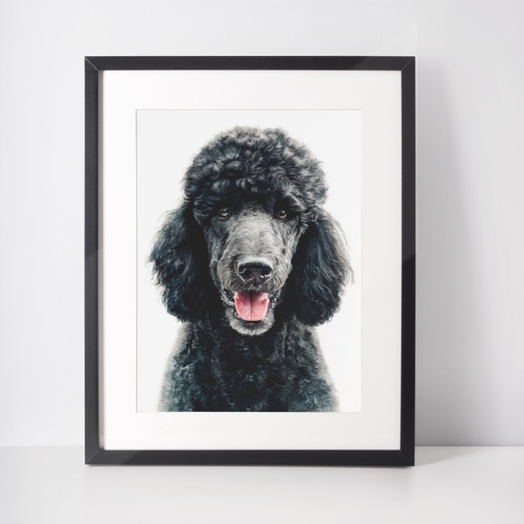 Watercolor Black Poodle Portrait Wall Art Print Poster, Unframed - Pet Artwork - Picture 3 of 6